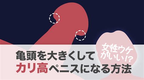 亀頭でかくする方法|カリ高になる方法は？メリットなども併せて解説！【。